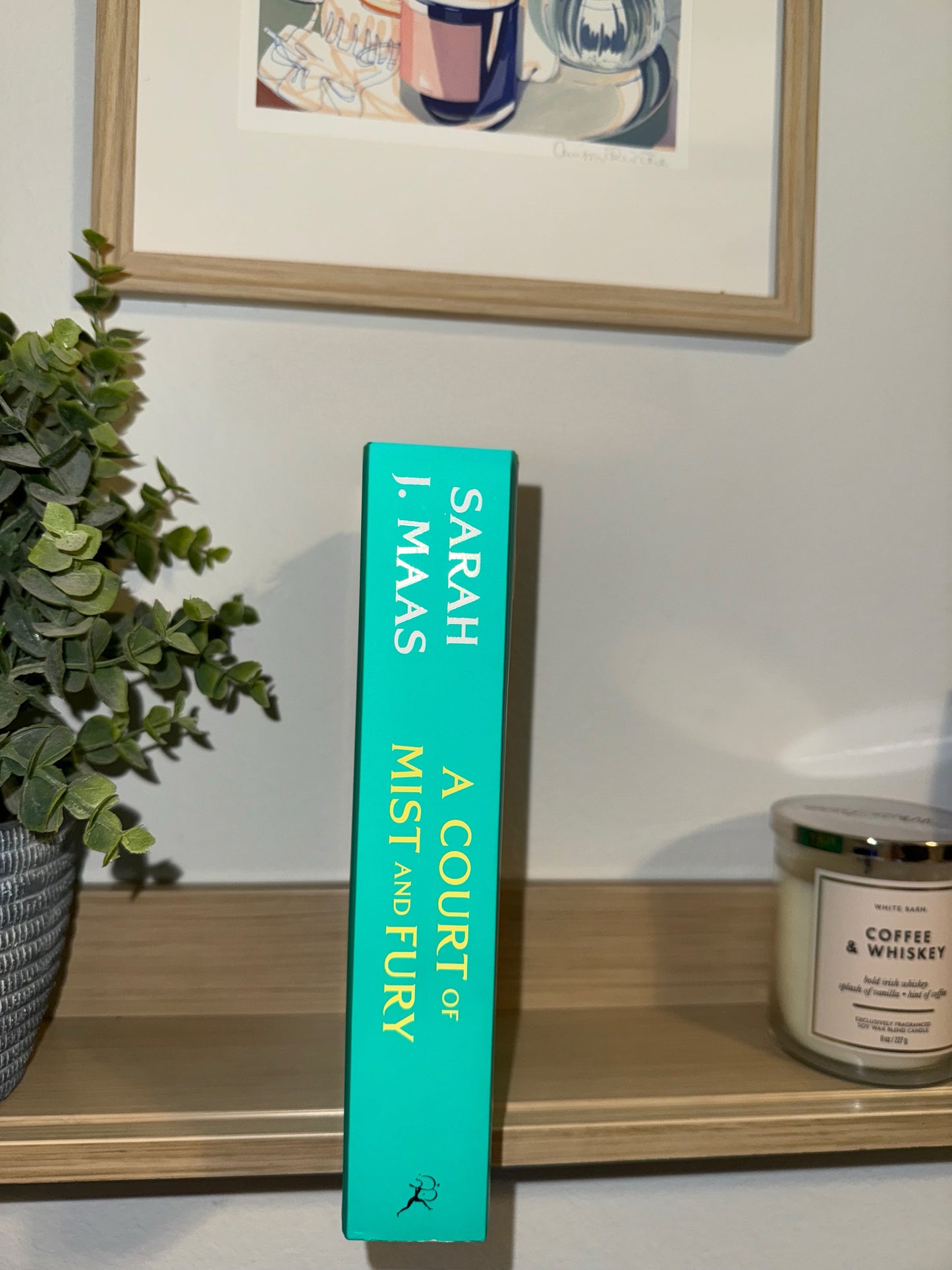 A Court of Mist & Fury by Sarah J. Maas (#2 in Series)