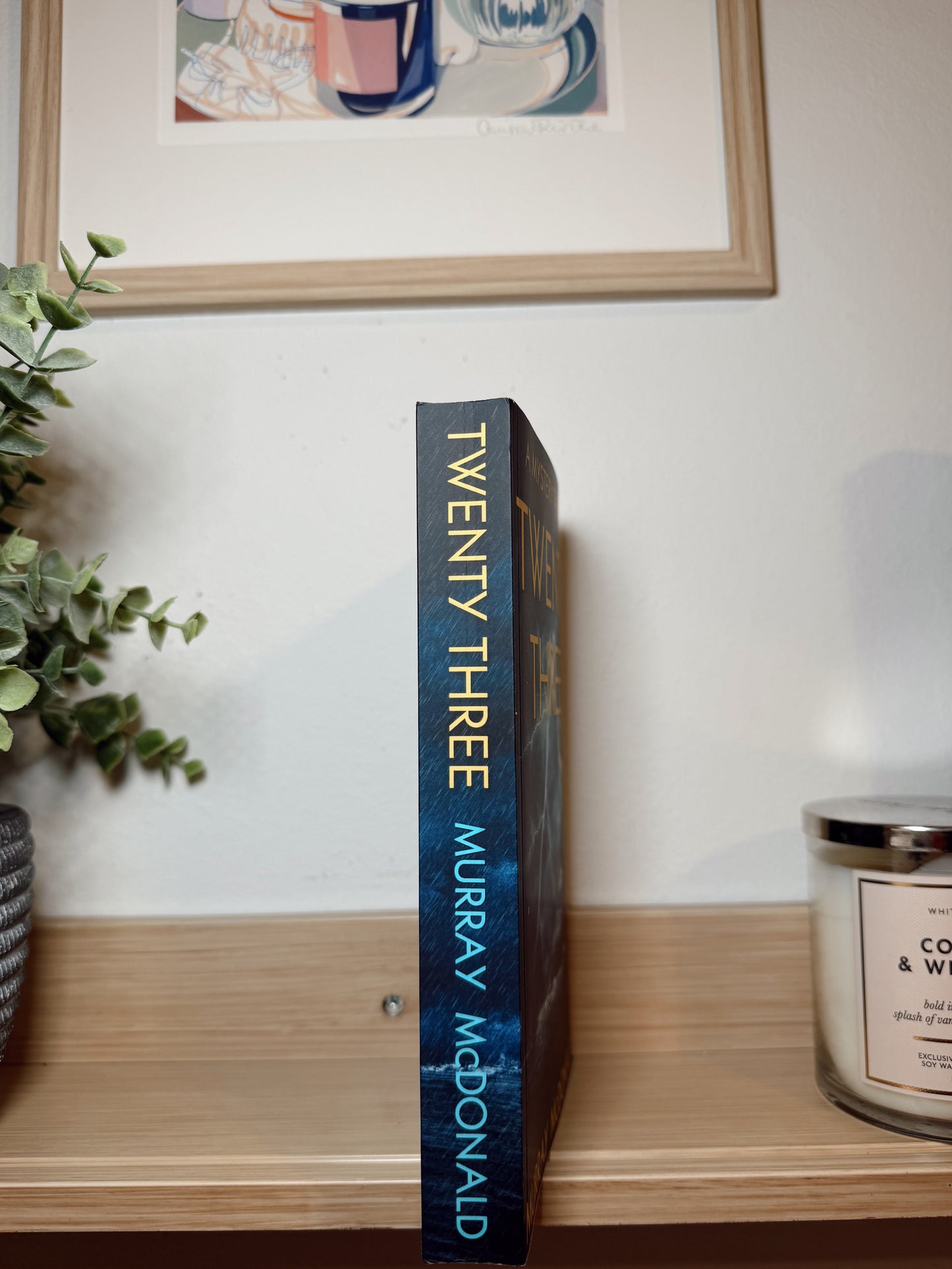 Twenty Three by Murray McDonald