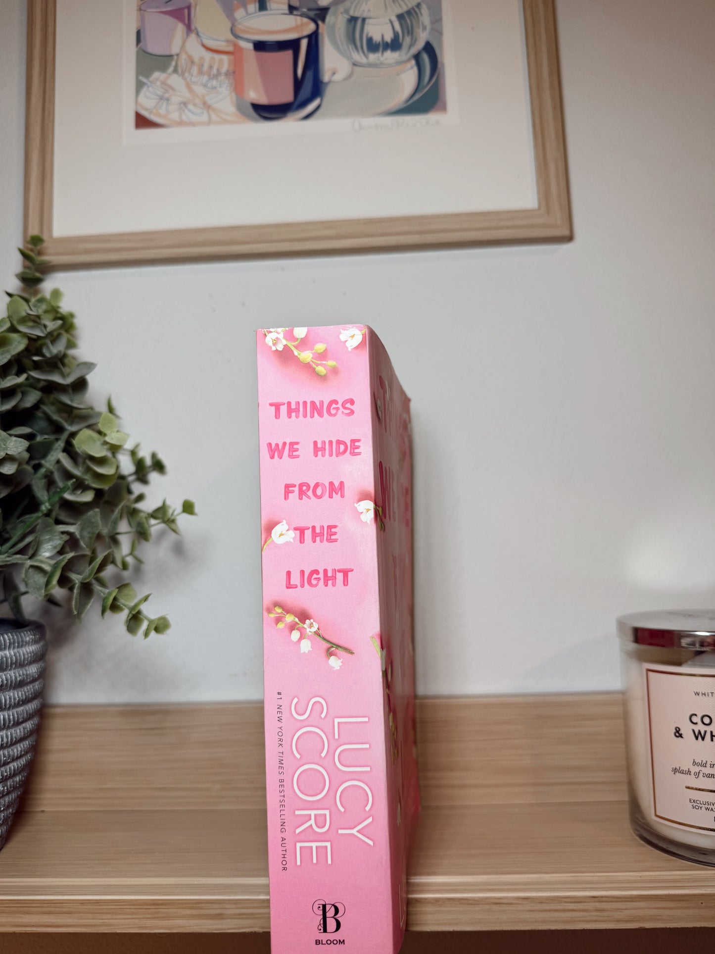 Things We Hide from the Light by Lucy Score