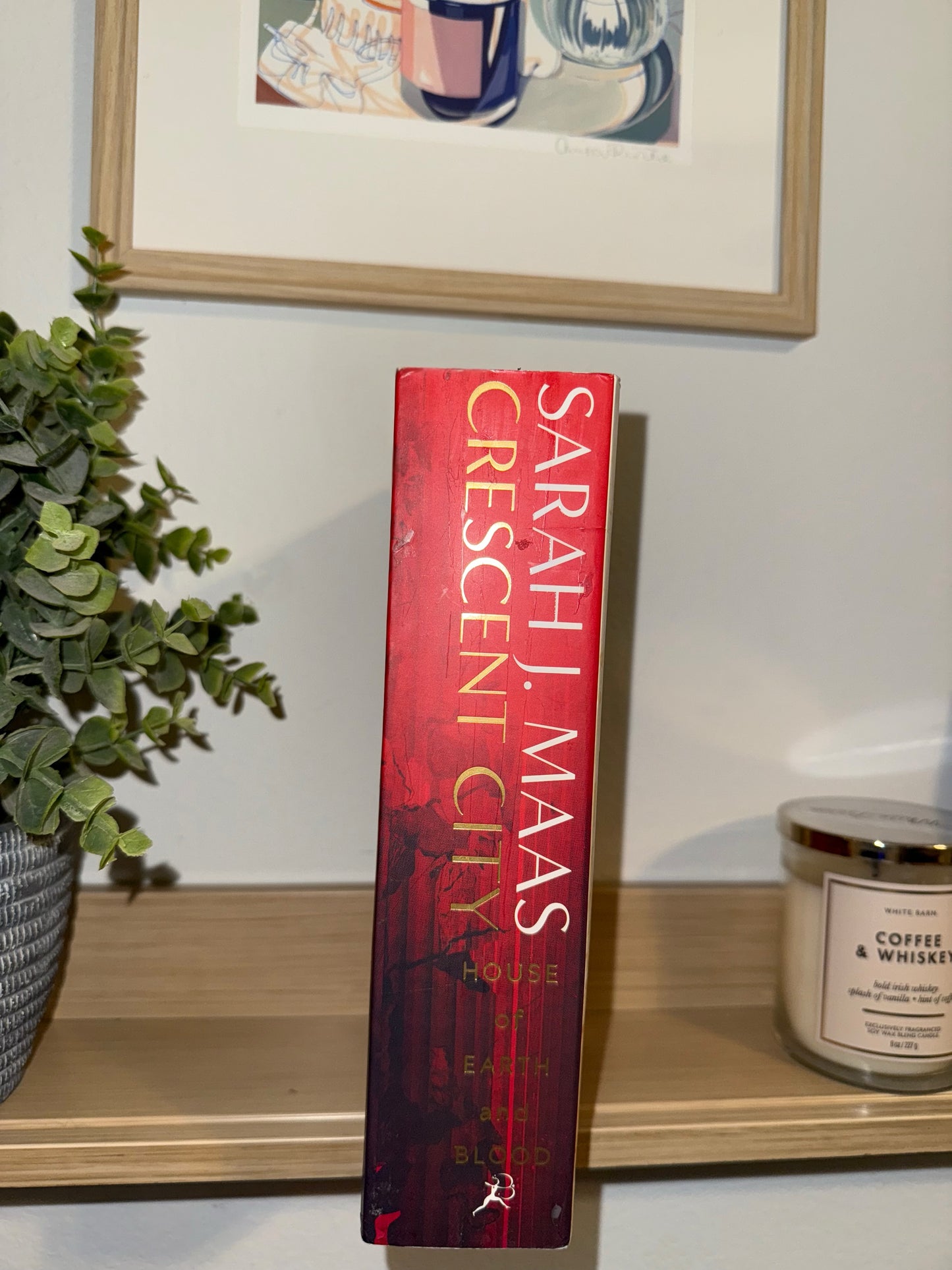 House of Earth and Blood by Sarah J. Maas (Crescent City Series #1)