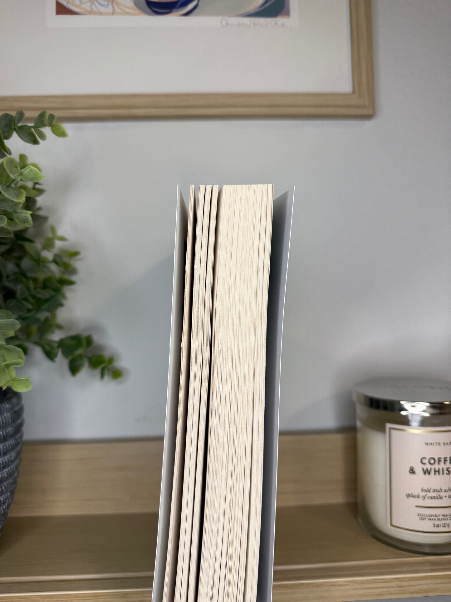 Red Queen by Victoria Aveyard